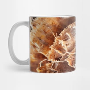 Brown cut banana stump with fibers Mug